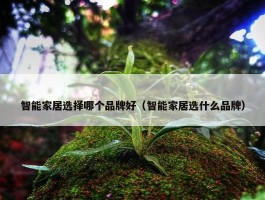 智能家居选择哪个品牌好（智能家居选什么品牌）