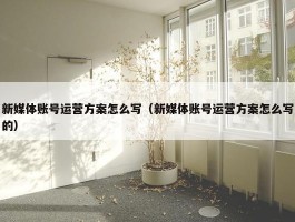 新媒体账号运营方案怎么写（新媒体账号运营方案怎么写的）