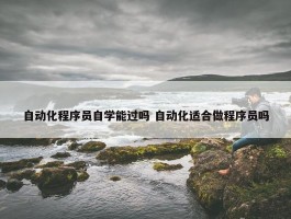 自动化程序员自学能过吗 自动化适合做程序员吗