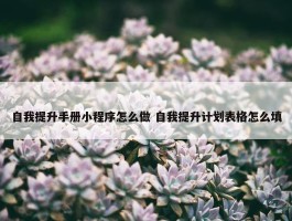 自我提升手册小程序怎么做 自我提升计划表格怎么填