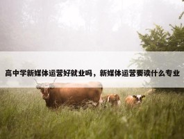 高中学新媒体运营好就业吗，新媒体运营要读什么专业