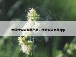 怎样找智能家居产品，找到智能家居app