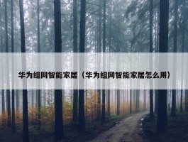 华为组网智能家居（华为组网智能家居怎么用）