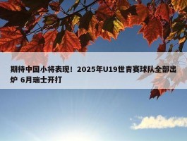 期待中国小将表现！2025年U19世青赛球队全部出炉 6月瑞士开打