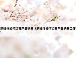 新媒体如何运营产品销售（新媒体如何运营产品销售工作）