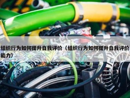 组织行为如何提升自我评价（组织行为如何提升自我评价能力）